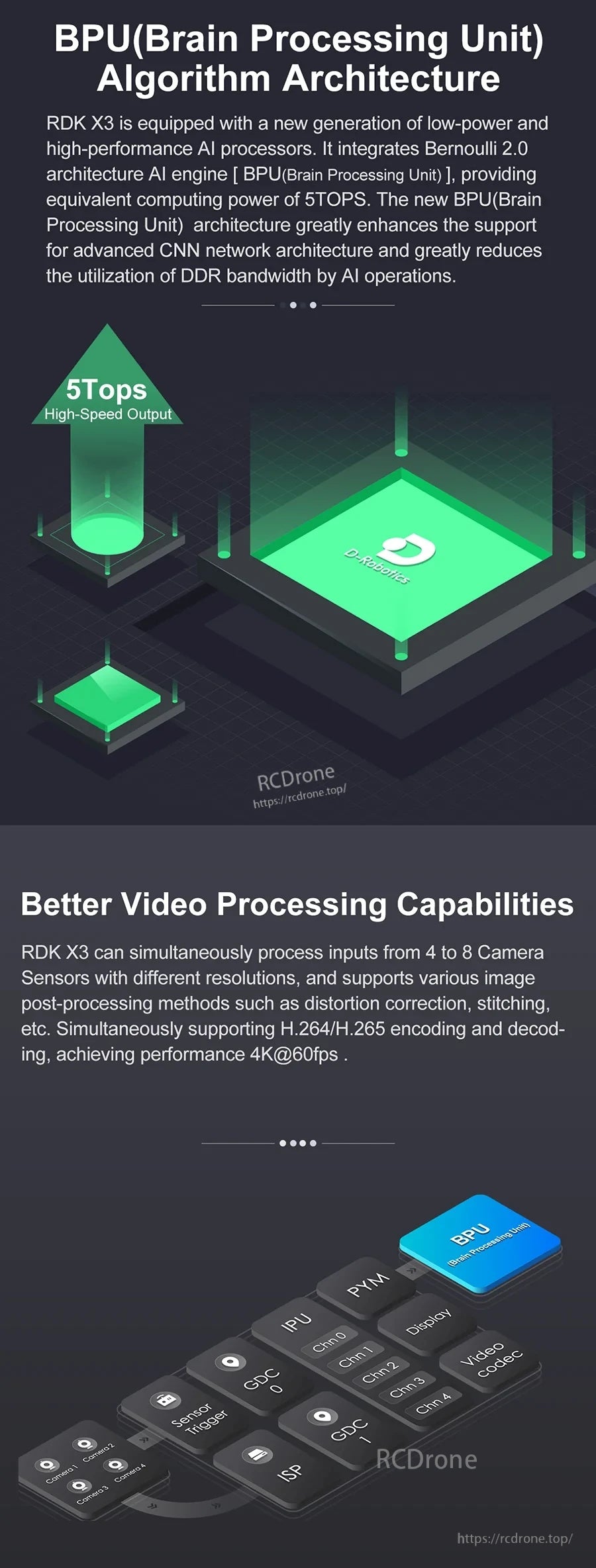 BPU algorithm architecture graphic and video processing capability highlights for multi-camera input and 4K video