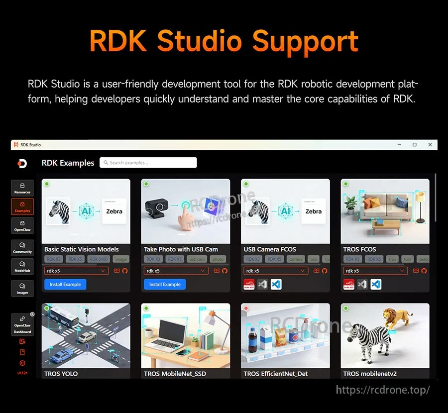 RDK Studio support screenshot displaying example cards for vision models, camera demos and YOLO-related tools