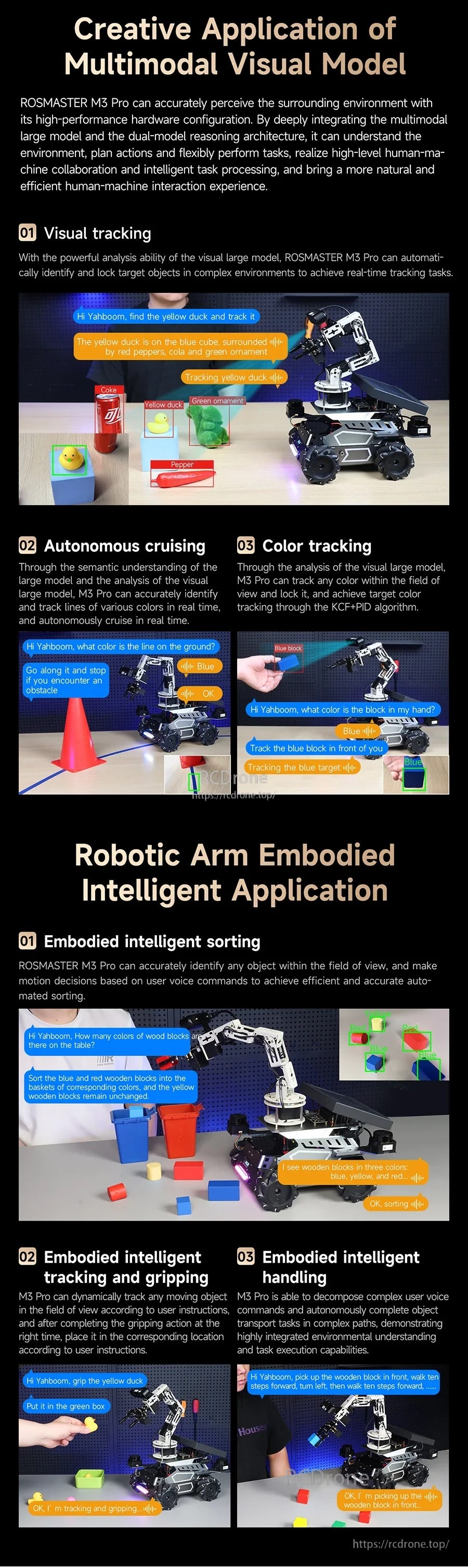 Multimodal visual model applications for tracking, autonomous cruising, color tracking, and arm tasks