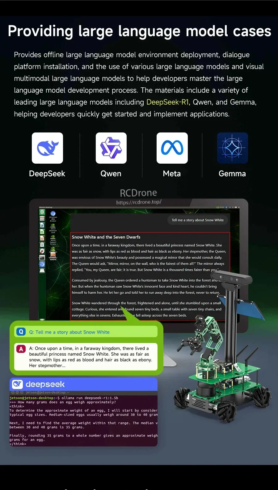 Slide describing large language model demo cases, with DeepSeek, Qwen, Meta and Gemma logos and a small robot graphic