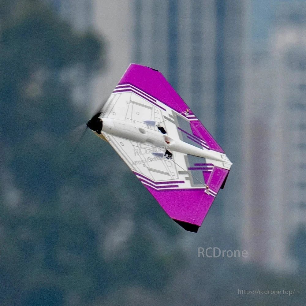 RadioLink Turbot D460 RTF RC Airplane Delta Wing, 7-Channel MODE2, Foam, 4km Range, Beginner to Expert