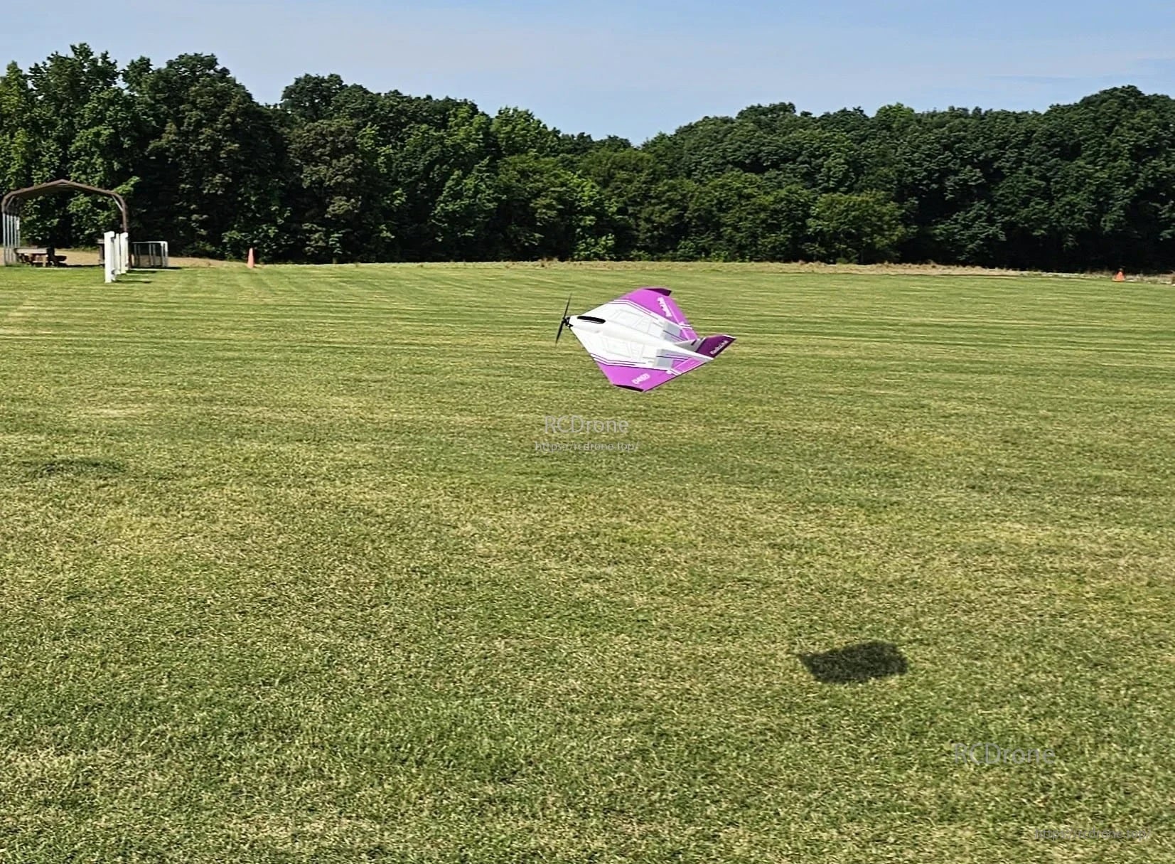 RadioLink Turbot D460 RTF RC Airplane, Turbot D460 is a scale model delta wing RC airplane for indoor-outdoor flying.