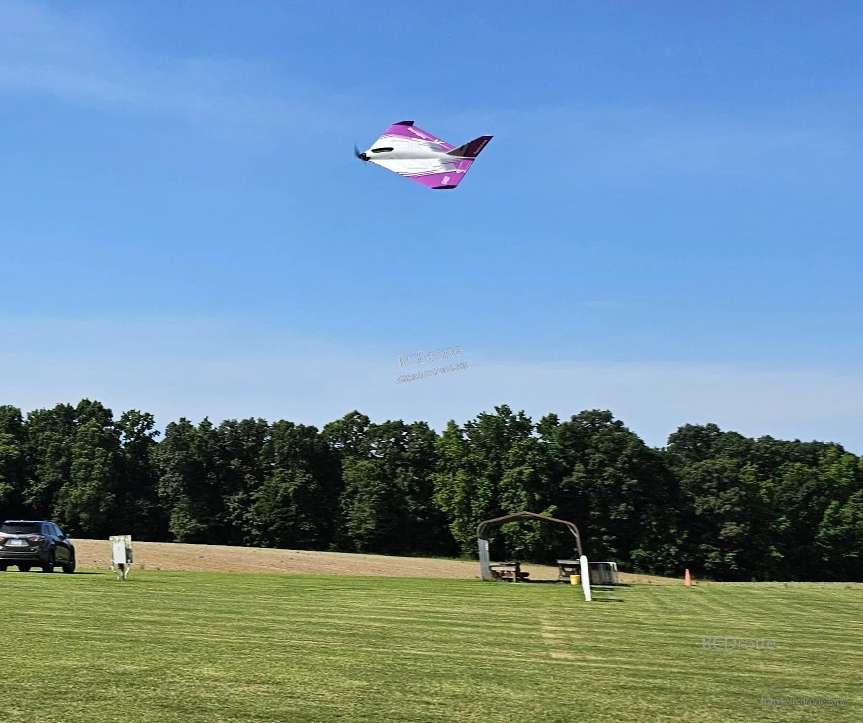 RadioLink Turbot D460 RTF RC Airplane, The RadioLink Turbot D460 is a scale model delta wing RTF RC Airplane designed for both indoor and outdoor flying.