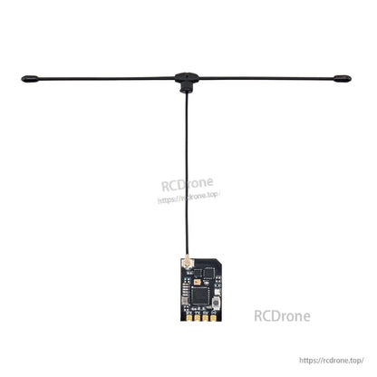 Wide T antenna layout connected to XR1 Nano receiver, centered on white background