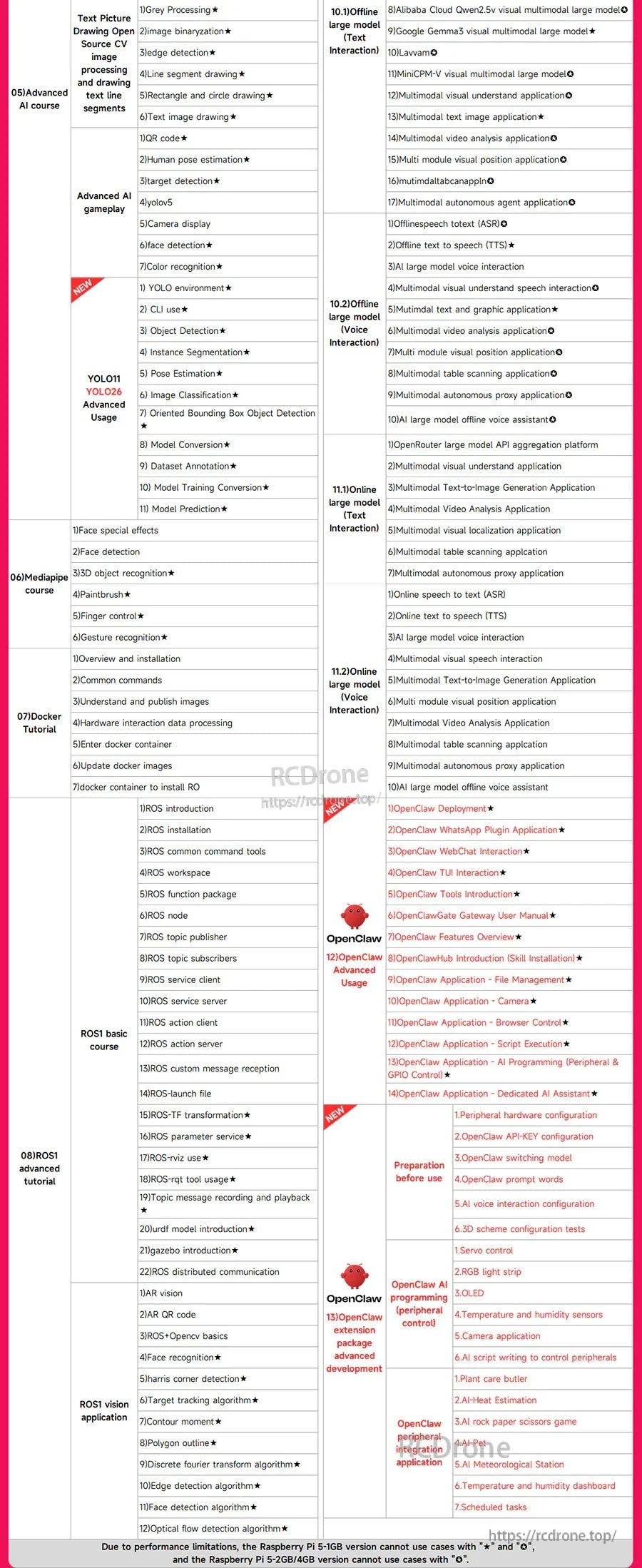 Detailed Raspberry Pi 5 course curriculum table showing lesson topics and module breakdown