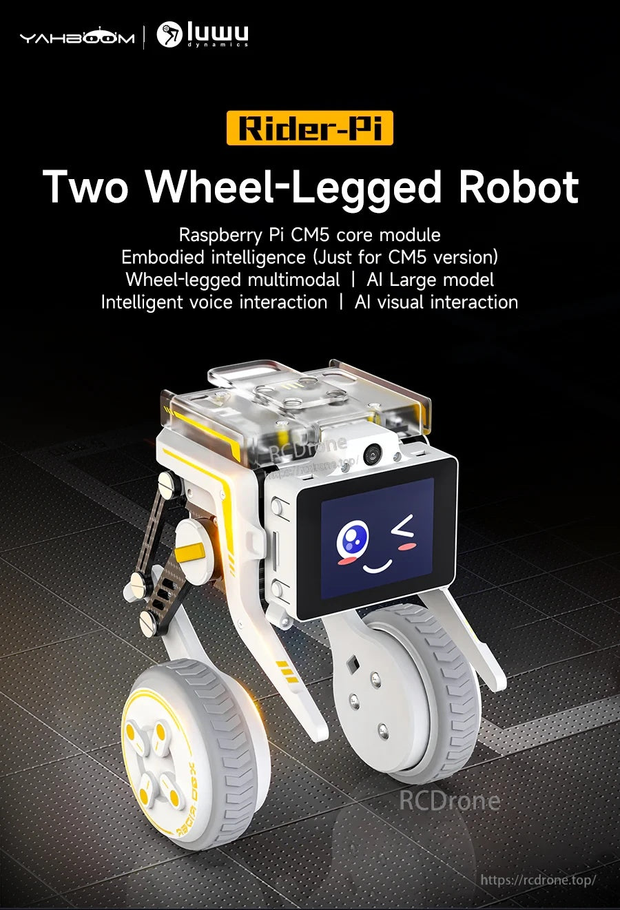 Rider-Pi Raspberry Pi CM5 two wheel-legged robot with front 2.0-inch IPS display and 5MP camera
