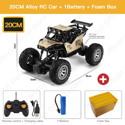 ZWN 1:20 2WD RC Car With Led Lights Radio Remote Control Cars - Buggy Off-Road Control Trucks Boys Toys for Children
