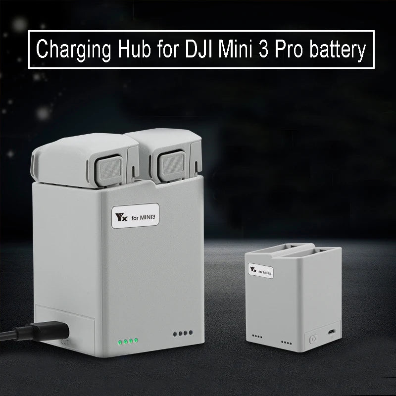 Mini 2/Mini SE Battery Charger