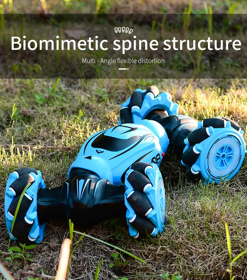 RrRBP Biomimetic spine structure Multi - Angle flexible