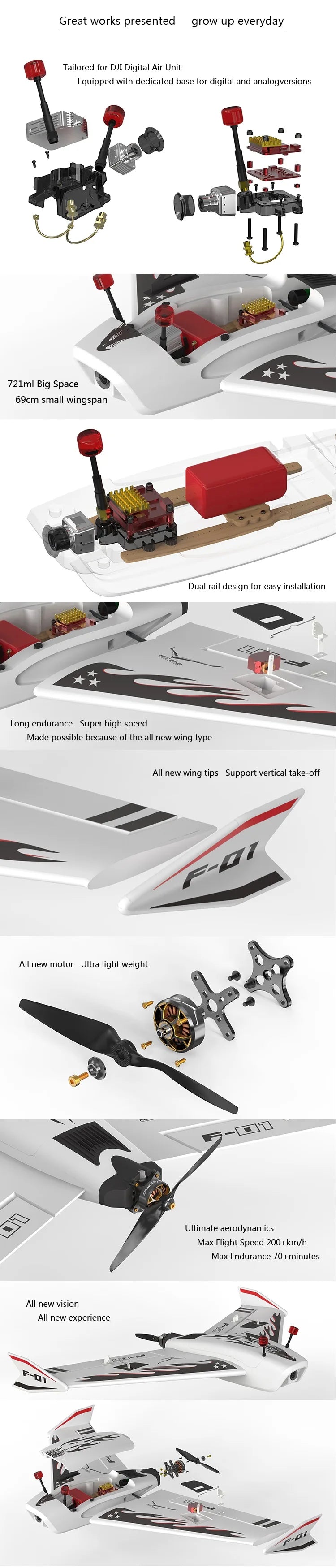 HeeWing HEE Wing F-01 Jet, HeeWing HEE Wing F-01