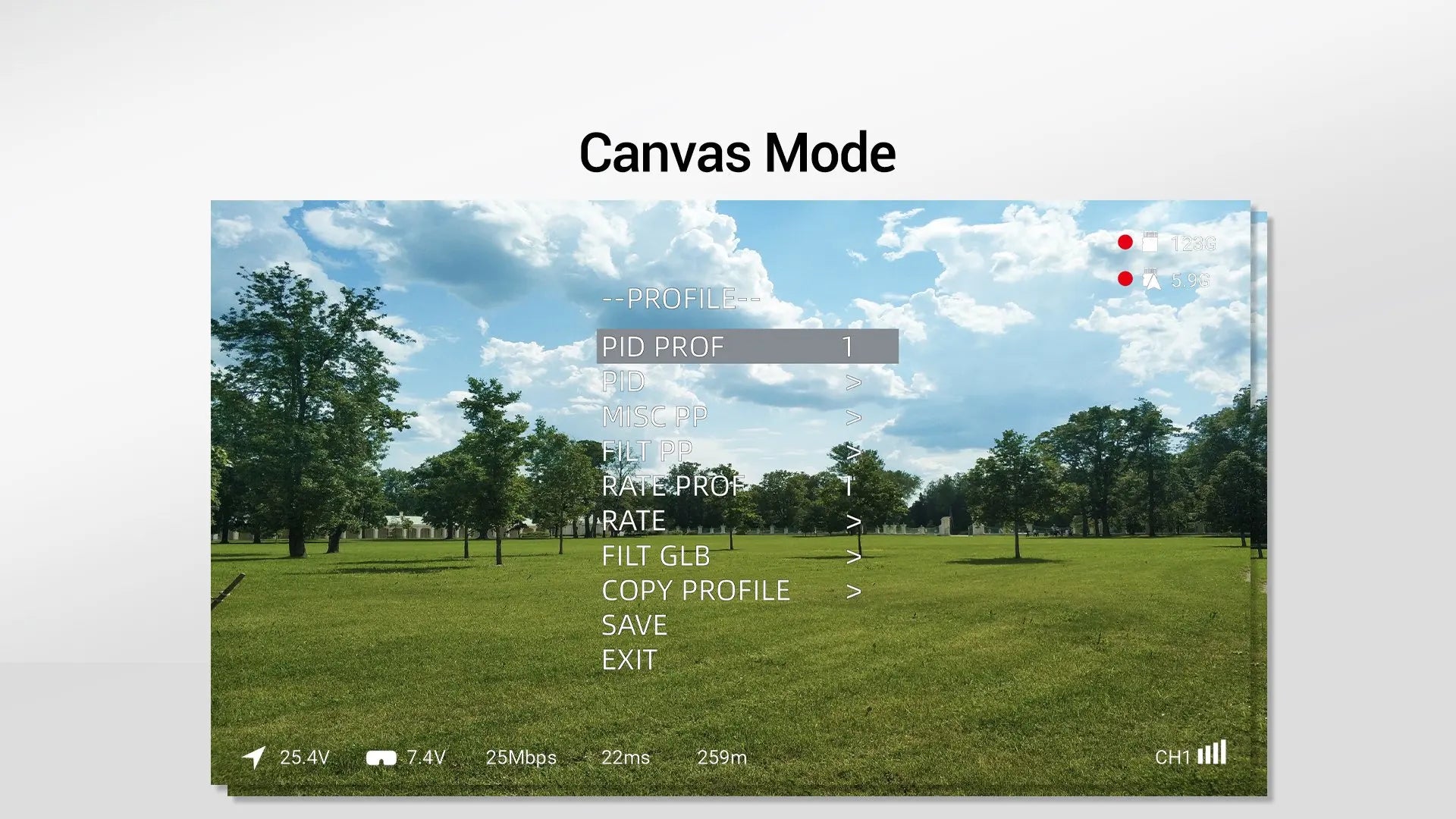 Walksnail Avatar VRX 1080P 60FPS 4KM Distance with Avatar 1S Kit Avatar HD Micro Kit for FPV Freestyle Drones 15 Walksnail Avatar VRX, Canvas Mode 123G 5.96 PROFILE-= PID PROF PID MI