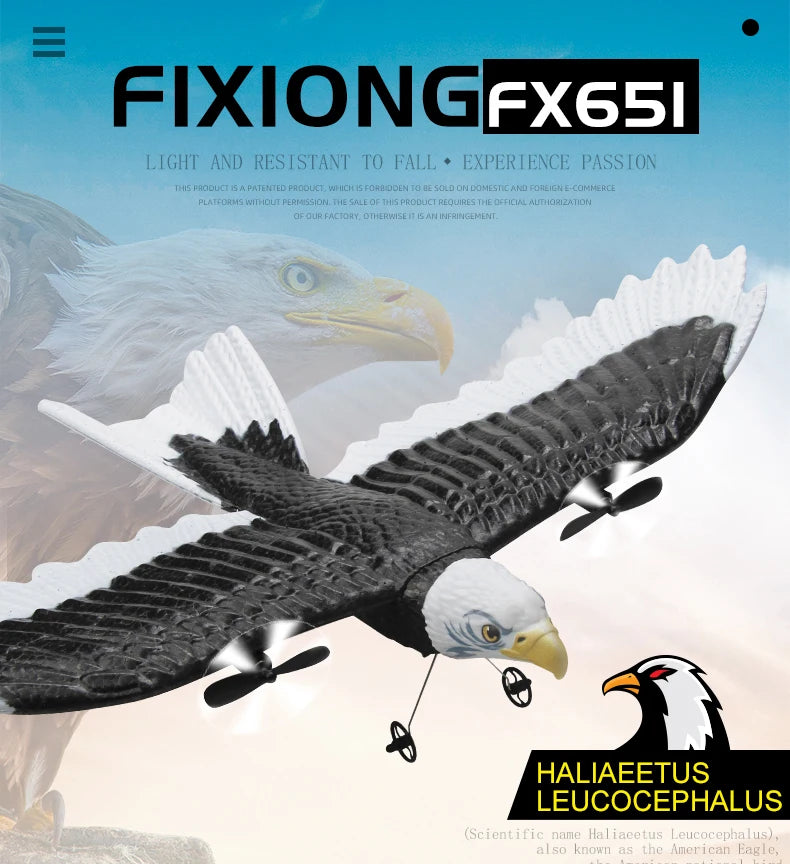 FX651 Simulation Wingspan Eagle Aircraft - 405mm 2.4G Radio Control Remote Control Glider Airplanem RC Foam Plane Toys for Children Boys 19 FX651 Simulation Wingspan Eagle Aircraft, TMIE JFfici AUTIIORIZATION OUR FacTOR