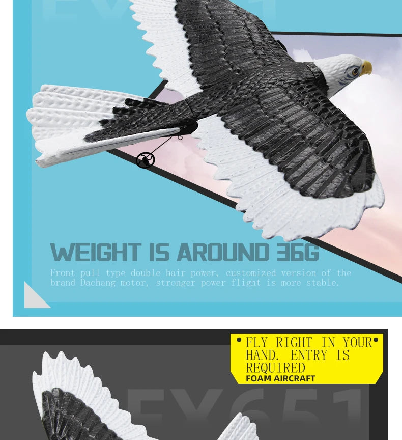 FX651 Simulation Wingspan Eagle Aircraft, front pull type double hair powe cusbomized Wers ion of