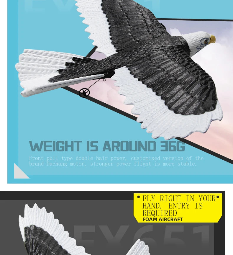 FX651 Simulation Wingspan Eagle Aircraft - 405mm 2.4G Radio Control Remote Control Glider Airplanem RC Foam Plane Toys for Children Boys 23 FX651 Simulation Wingspan Eagle Aircraft, front pull type double hair powe cusbomized Wers ion of