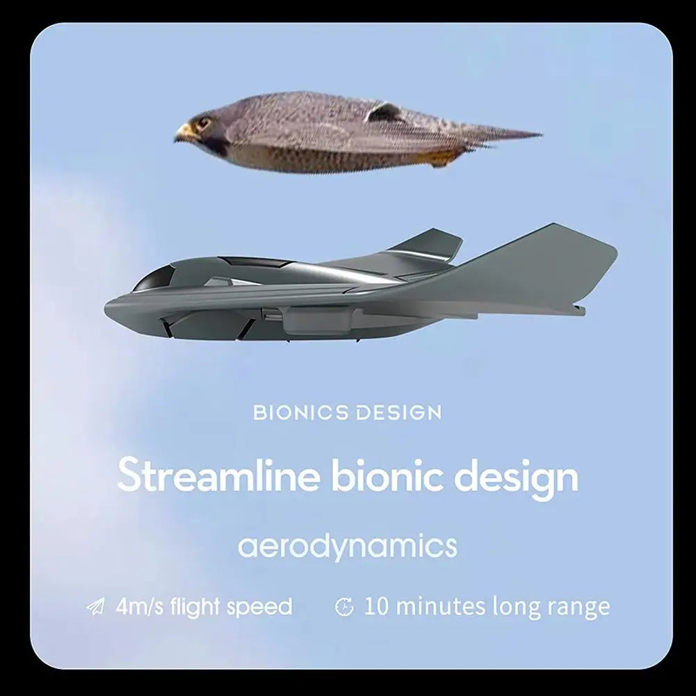 B2 RC Airplane, BIONICS DESIGN Streamline bionic design aerodynamics Am/s ili