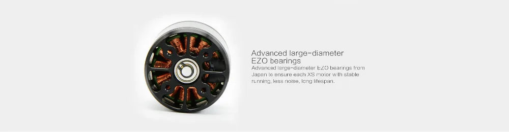 Advarchd lgrge-dairelet EZO bearings 