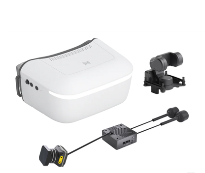 Walksnail Avatar HD Goggles L – Óculos FPV HD com Seguimento de Cabeça, 4,5" 1080p/60, Entrada 2–6S, 75° FOV