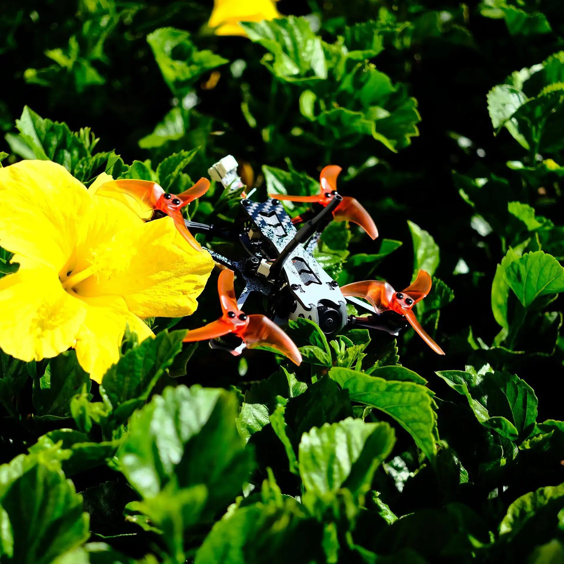 EMAX Tinyhawk Freestyle - 115mm F411 2S 1103 7000KV Brushless Motor 2.5Inch Fpv Racing Drone BNF 17 EMAX Tinyhawk Freestyle, obtaining the necessary licenses is essential, particularly in North America . complying with regulations