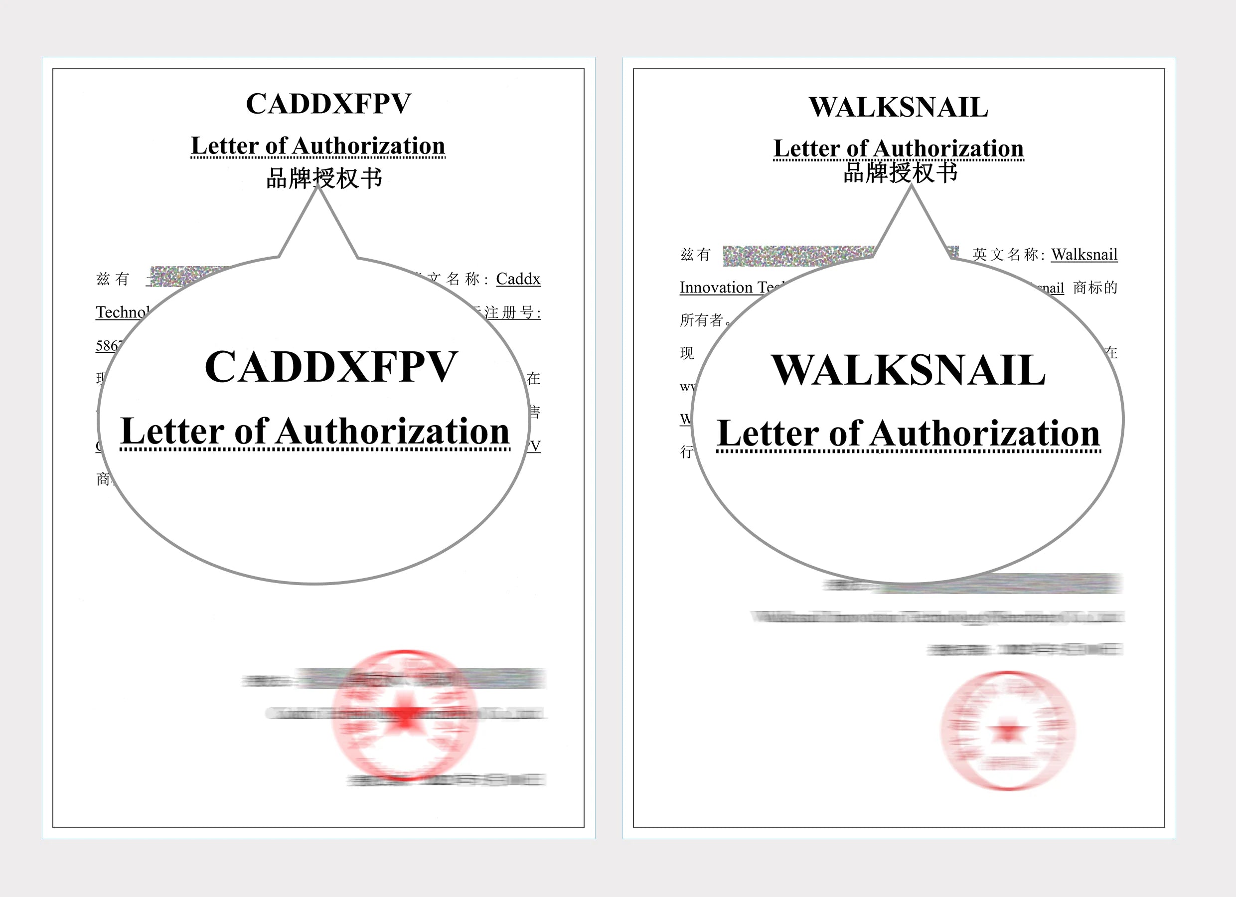 CADDX Walksnail Avatar HD Goggles X, Letter of Authorization A#tztx#; FFER# %4 T