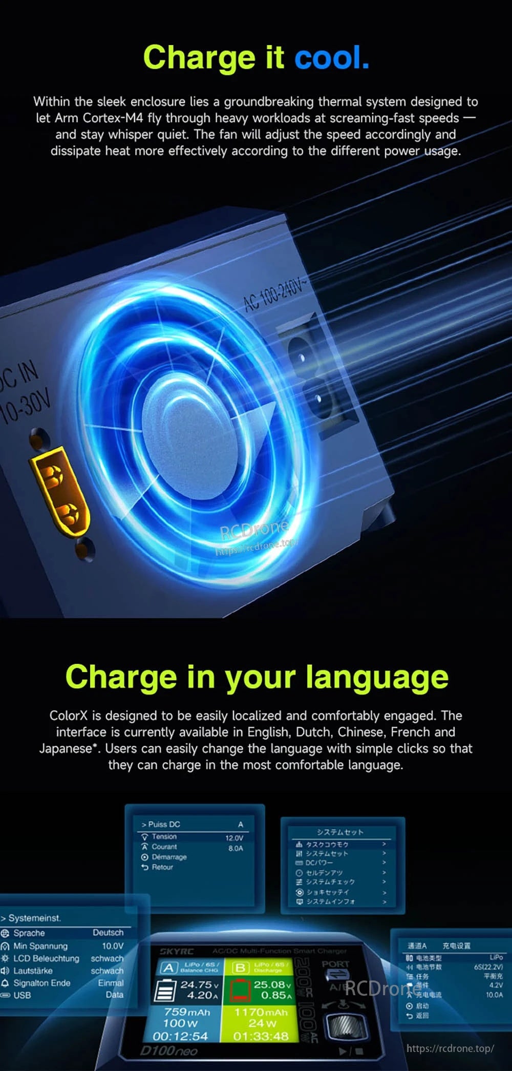SkyRC D100Neo AC100W DC200W 10Ax2 Dual Channel Multi-Function Smart Charger for 1-6S Lipo/LiFe/Lilon/LIHV 1-15S NIMH/NICD 3S/6S/12S Pb Battery