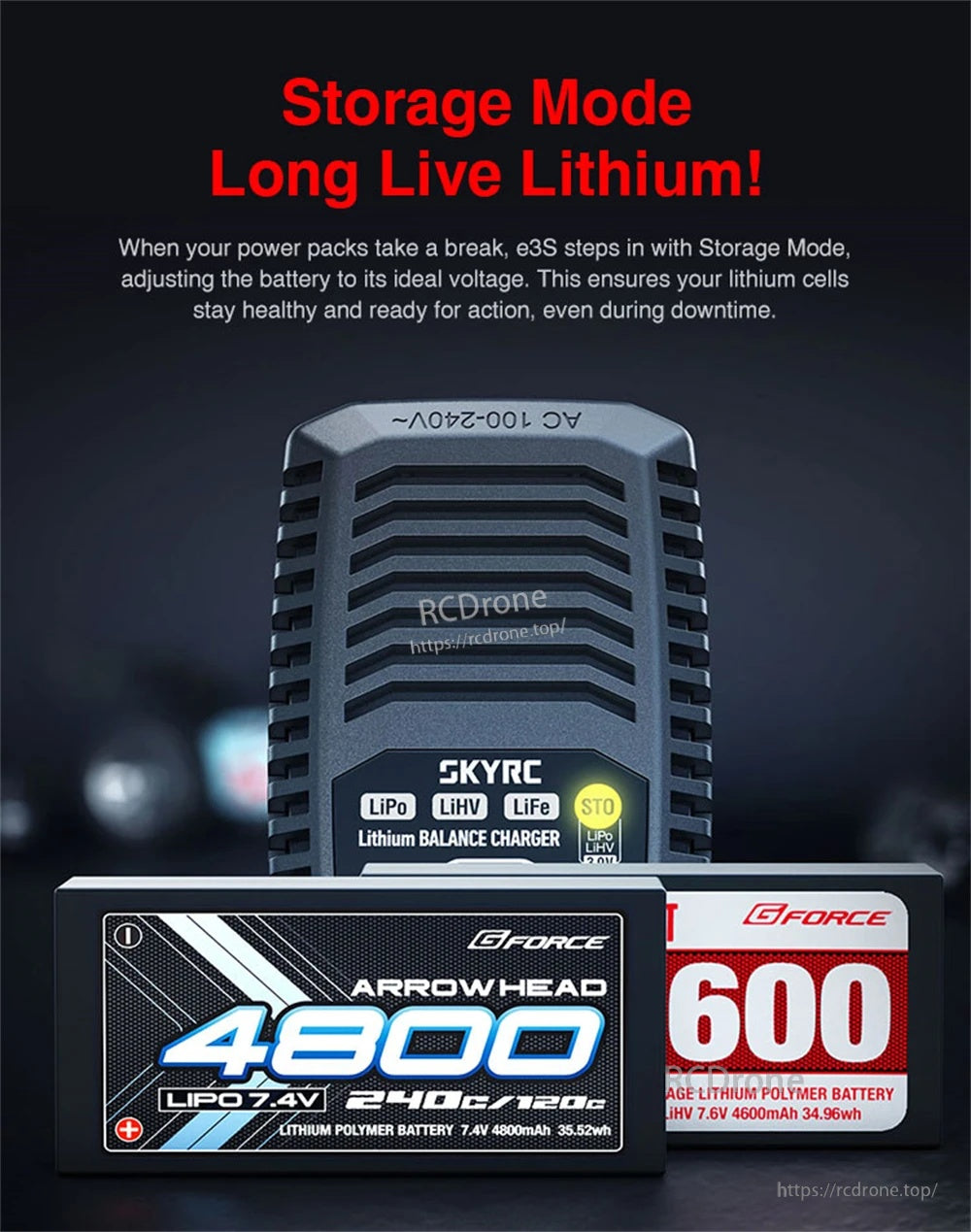 SkyRC E3S 20W 2.2A Charger for 2S/3S LiPo/LiHV/LiFe Battery