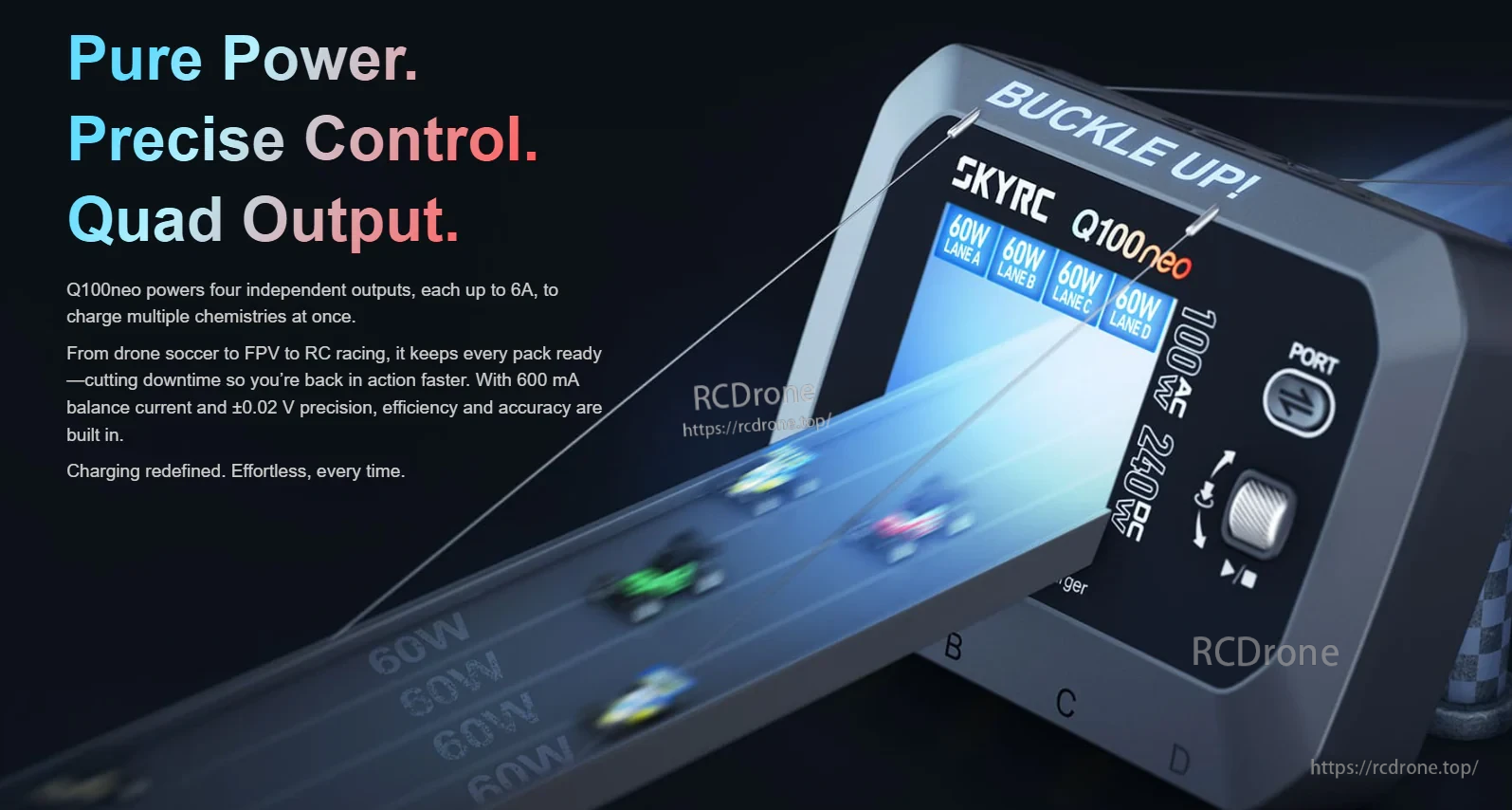 SkyRC Q100neo AC/DC Multi-Function Smart Charger