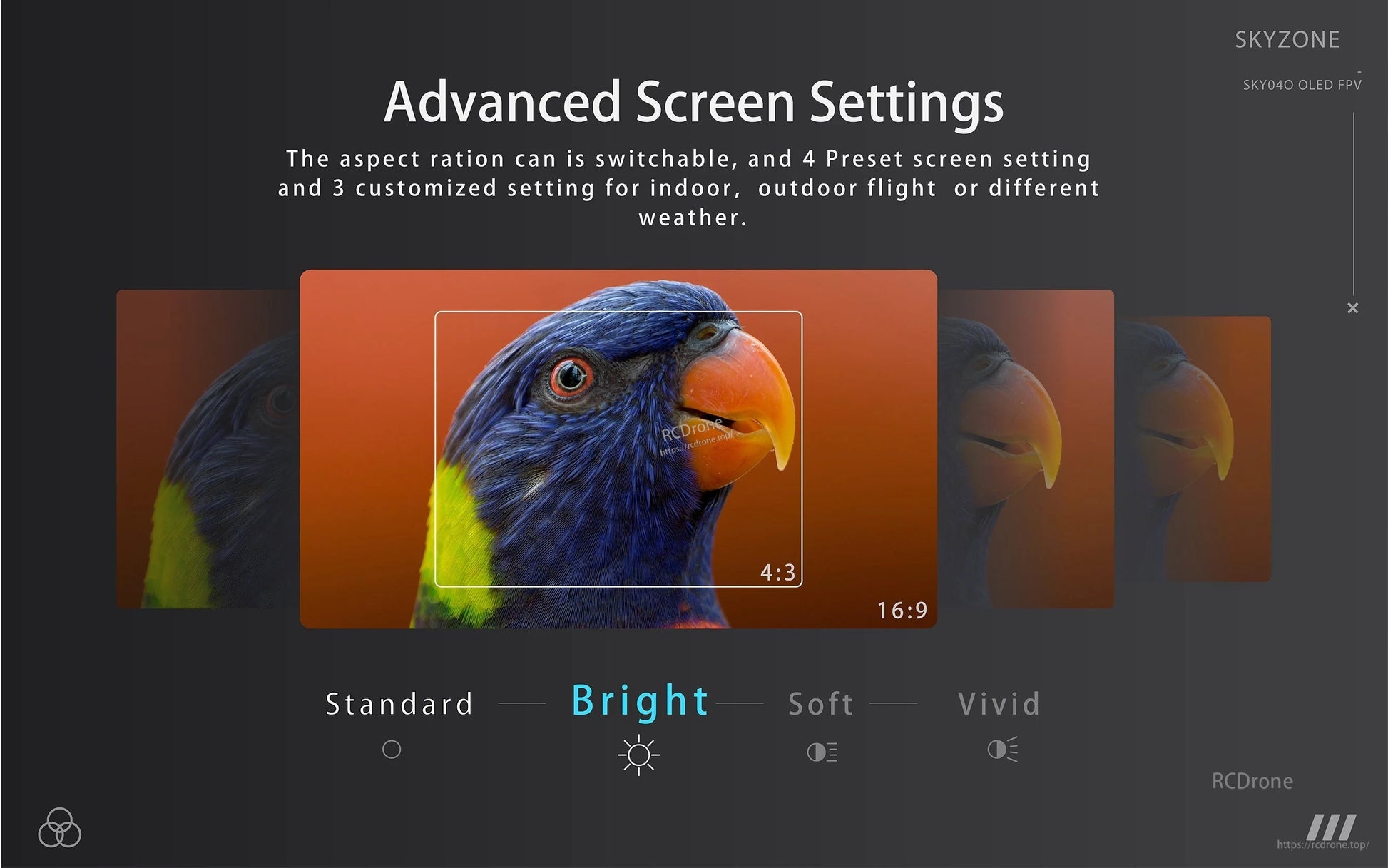 Advanced screen settings UI showing aspect ratios 4:3 and 16:9 plus brightness and vivid modes