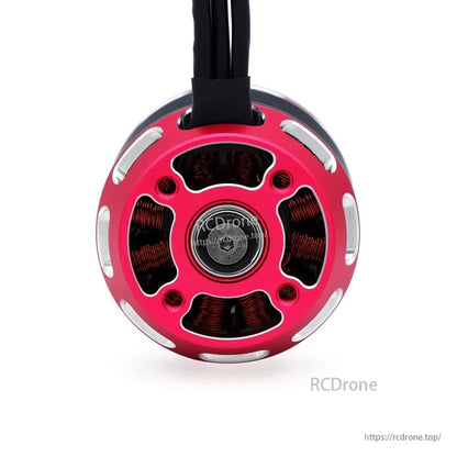 Surpass Hobby F5055 brushless motor bottom view showing copper windings and ventilation cutouts