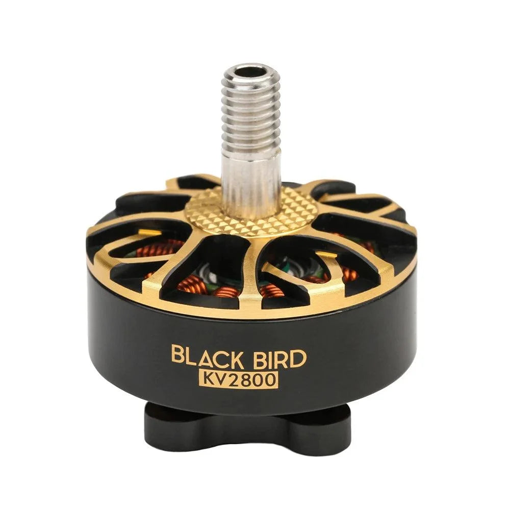 Двигун T-Motor BLACK BIRD 2207 V2 KV2800 FPV (4S, 12N14P) 33,4 г, 610 ...