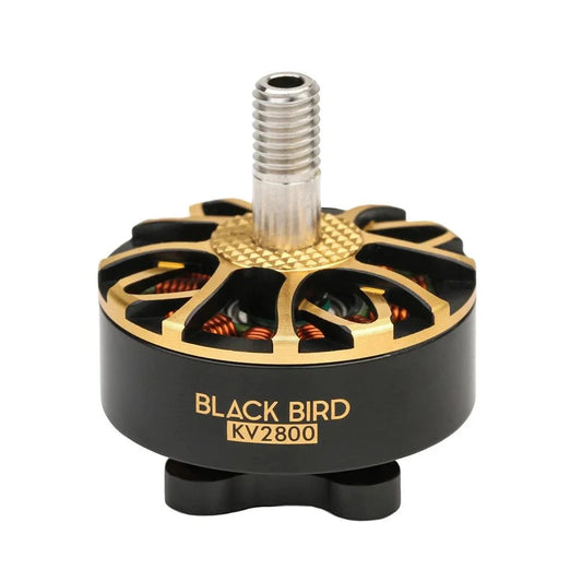 T-Motor Black Bird KV2800 brushless motor with gold rotor and threaded shaft, black housing
