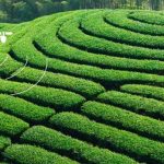 TTA G200 16L Agriculture Drone - 6 Axis 4 Acre/10min RTK Positioning Seed Sprayer Spreader Agri Drone 20 TTA G200 16L Agriculture Drone, the start point, the final point and the working direction can all be set