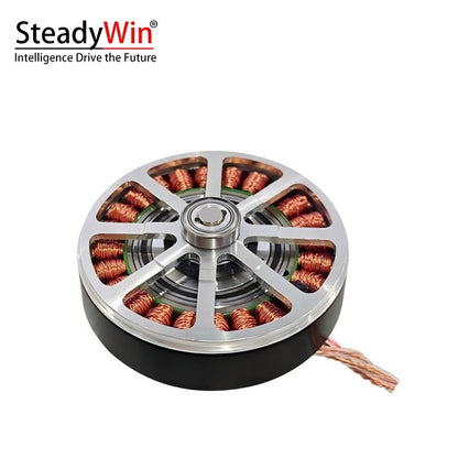 SteadyWin GWK6010-8 motor main view, angled profile showing silver spoke cover, copper windings, and wire leads