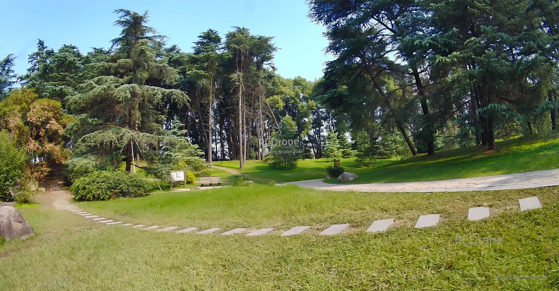 Daylight FPV video still from a park scene, showing natural color and detail in bright conditions