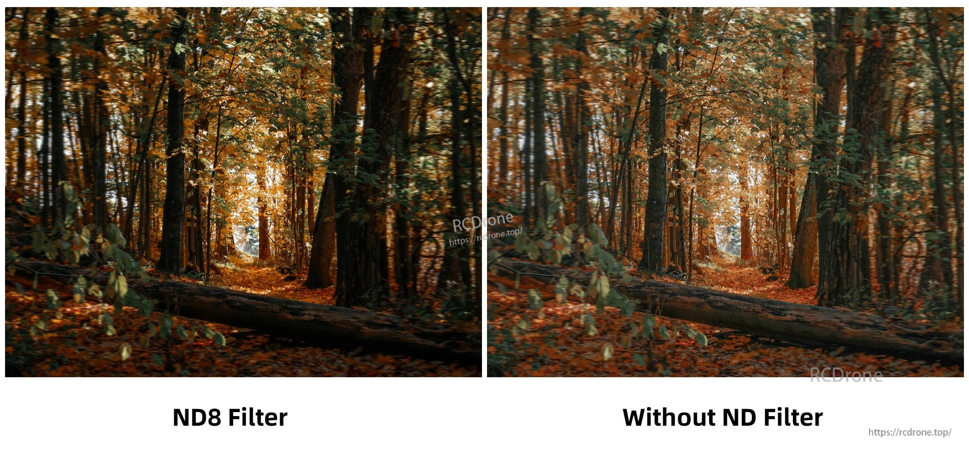 Walksnail Moonlight FPV Camera, The included recording board allows for MP4 capture at up to 150Mbps with a wide input voltage range of 7.4V-25.2V.