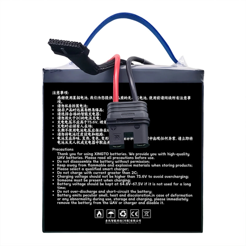 Read precautions before using XINGTO batteries: no disassembly, flammable materials avoidance, 2C charge limit, and handle high-voltage equipment with care.