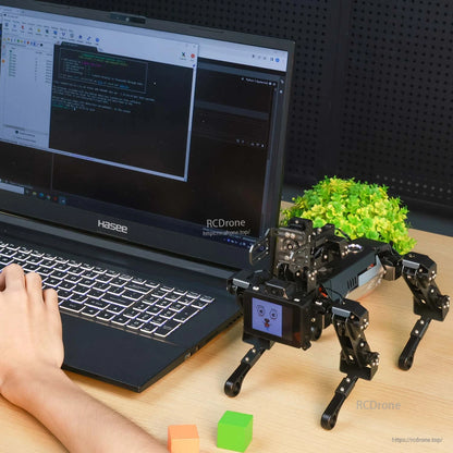 Robot dog connected to a laptop for programming/testing on a desk with colored blocks nearby
