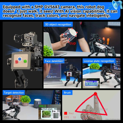 5MP OV5647 camera AI vision examples: object recognition, face detection, plate recognition, color tracking