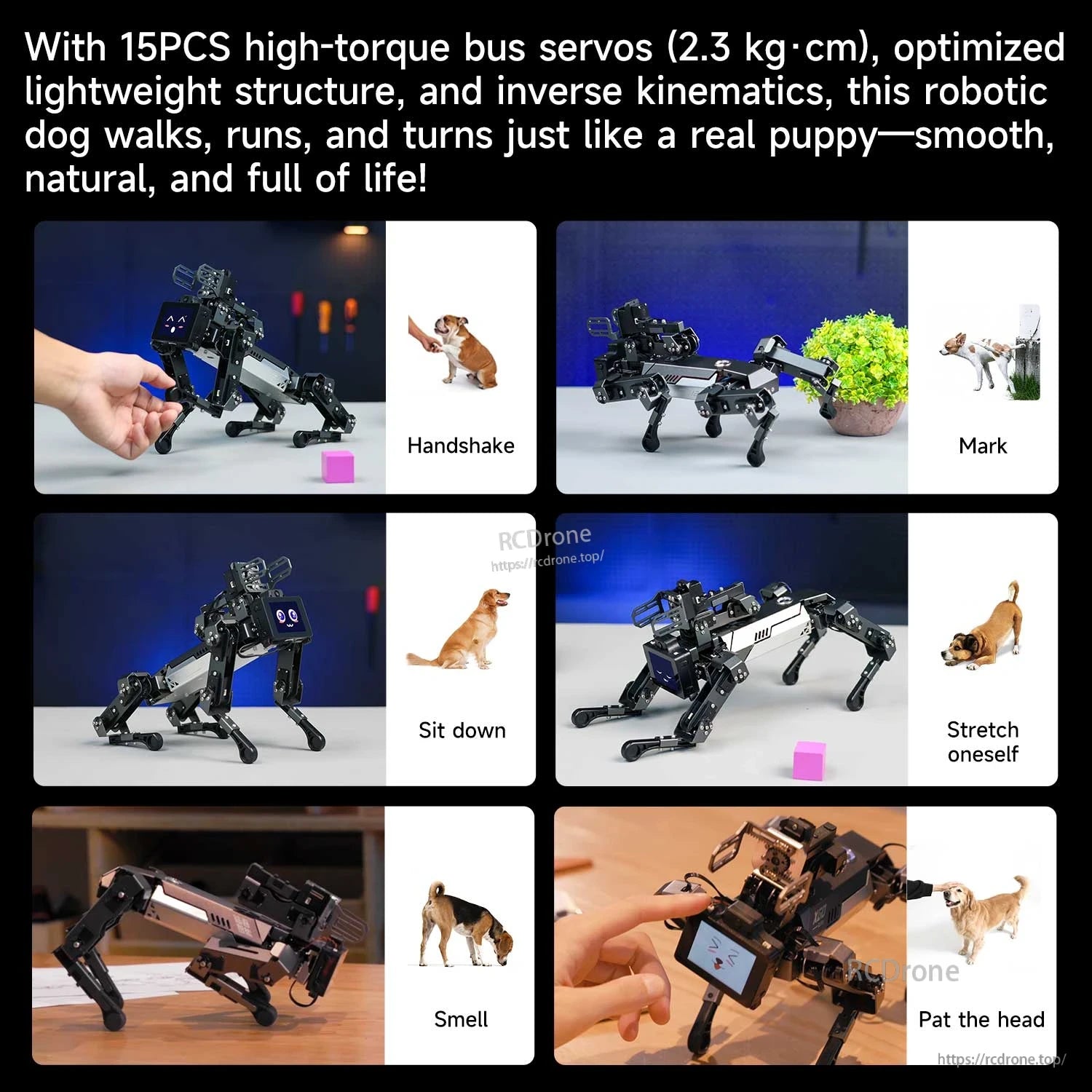Robot dog action poses showing handshake, sit down, stretching, sniffing, and head pat commands