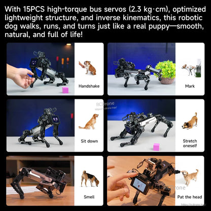 Robot dog action poses showing handshake, sit down, stretching, sniffing, and head pat commands