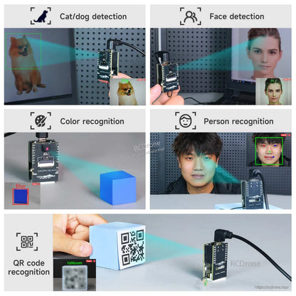 AI vision examples: cat/dog, face, person, color and QR code recognition using the camera module
