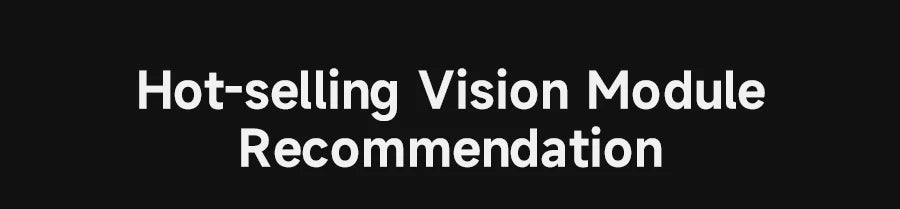 Hot-selling vision module recommendation banner text
