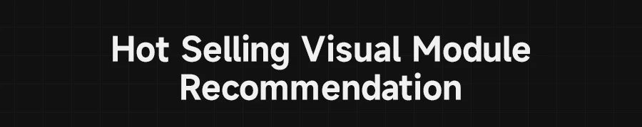 Banner reading “Hot Selling Visual Module Recommendation” on a black background