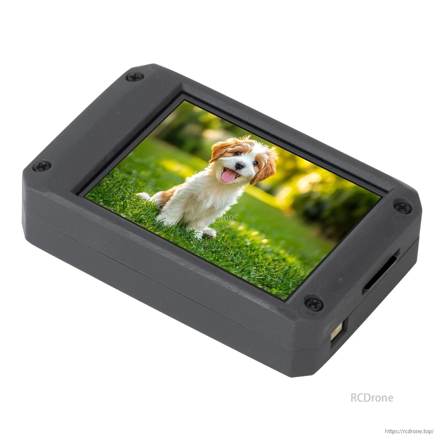 Front touchscreen view displaying sample photo on the 2.4-inch screen, angled on white background