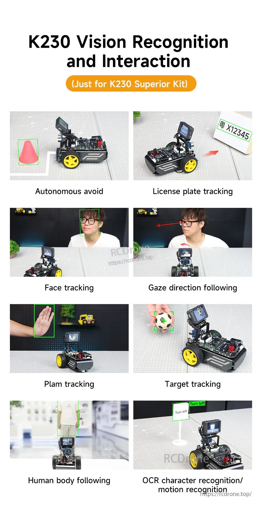 K230 vision recognition examples: autonomous avoid, license plate tracking, face/gaze/palm/target tracking, OCR, body follow