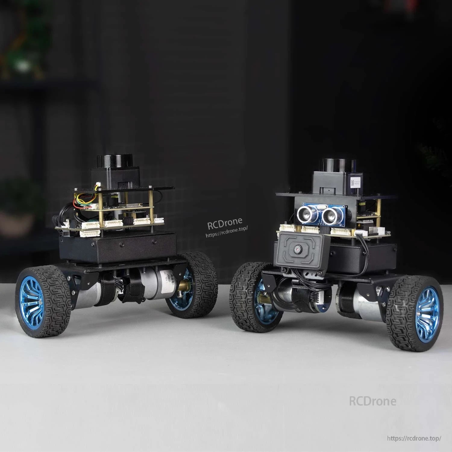 Two self-balancing robot cars side by side showing rear and front views, vision version with camera module