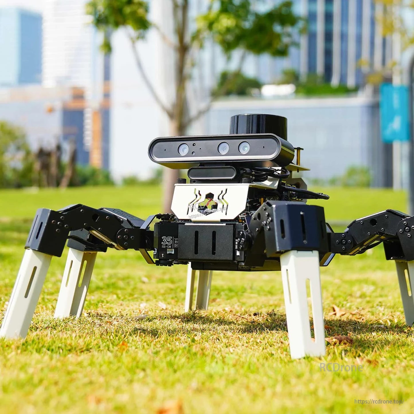 Hexapod robot outdoors on grass with front depth camera bar and top-mounted sensor module