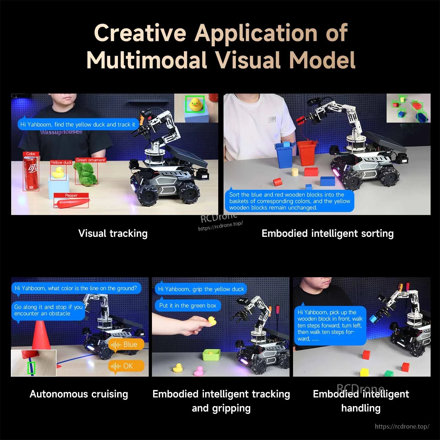 Multimodal visual model applications: visual tracking, sorting blocks, autonomous cruising, gripping and handling
