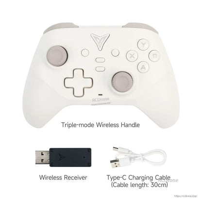 Front view controller with labeled accessories: wireless receiver and 30cm USB-C charging cable