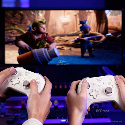 Two people holding white controllers while playing a game on a monitor in a desktop setup
