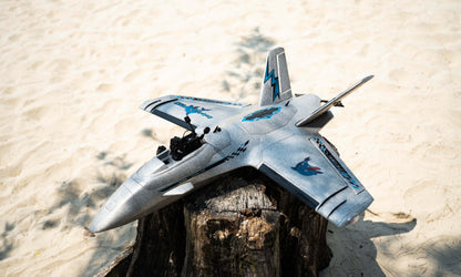 Dolphin Pro FPV wing aircraft resting on a stump outdoors, silver/grey color scheme